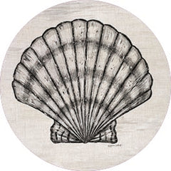 ALP2328RP - Scallop Shell - 18x18