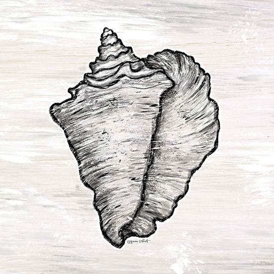 Annie LaPoint ALP2330 - ALP2330 - Conch Shell - 12x12 Conch Shell, Shell, Coastal, Neutral Pallet, Aquatic Animal from Penny Lane