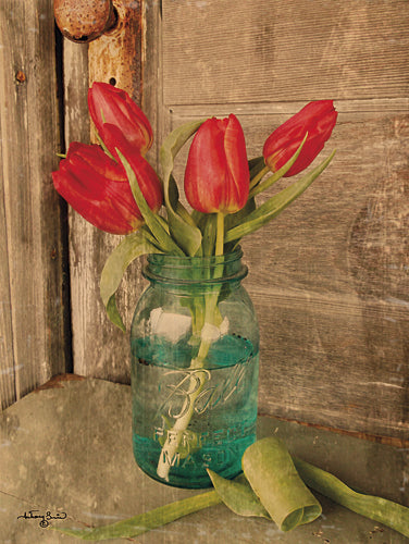 Anthony Smith ANT101 - Country Tulips - Tulip, Jar, Primitive, Floral, Decorative, Country from Penny Lane Publishing
