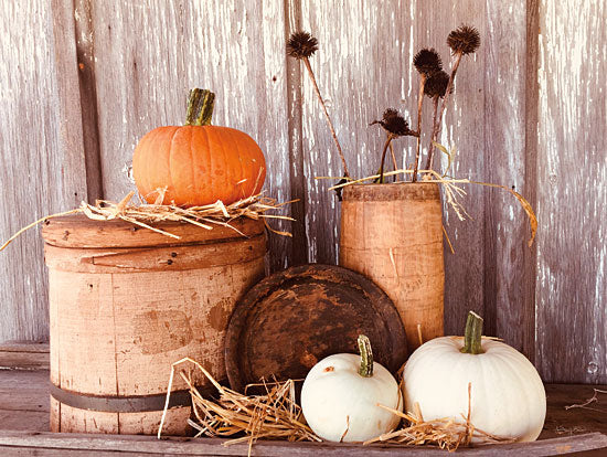 Anthony Smith ANT150 - ANT150 - Autumn Pumpkins - 16x12 Photography, Autumn, Pumpkin, White Pumpkin, Still Life, Hay from Penny Lane