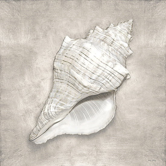 Amber Sterling AS227 - AS227 - Pewter Seashells I - 12x12 Coastal, Seashells, Tan, White from Penny Lane