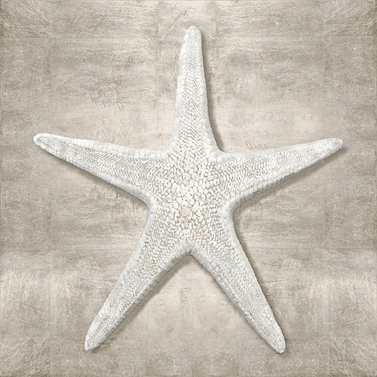 Amber Sterling AS229 - AS229 - Pewter Seashells III - 12x12 Coastal, Starfish, Tan, White from Penny Lane