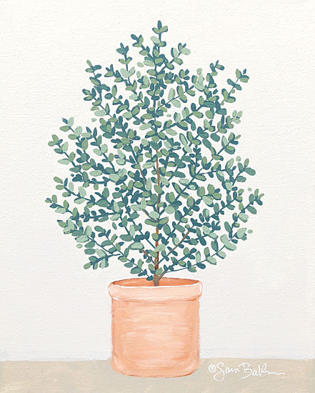 Sara Baker BAKE191 - BAKE191 - Eucalyptus - 12x16 Potted Plant, Green Plant, Eucalyptus, Greenery, Terracotta Pot from Penny Lane