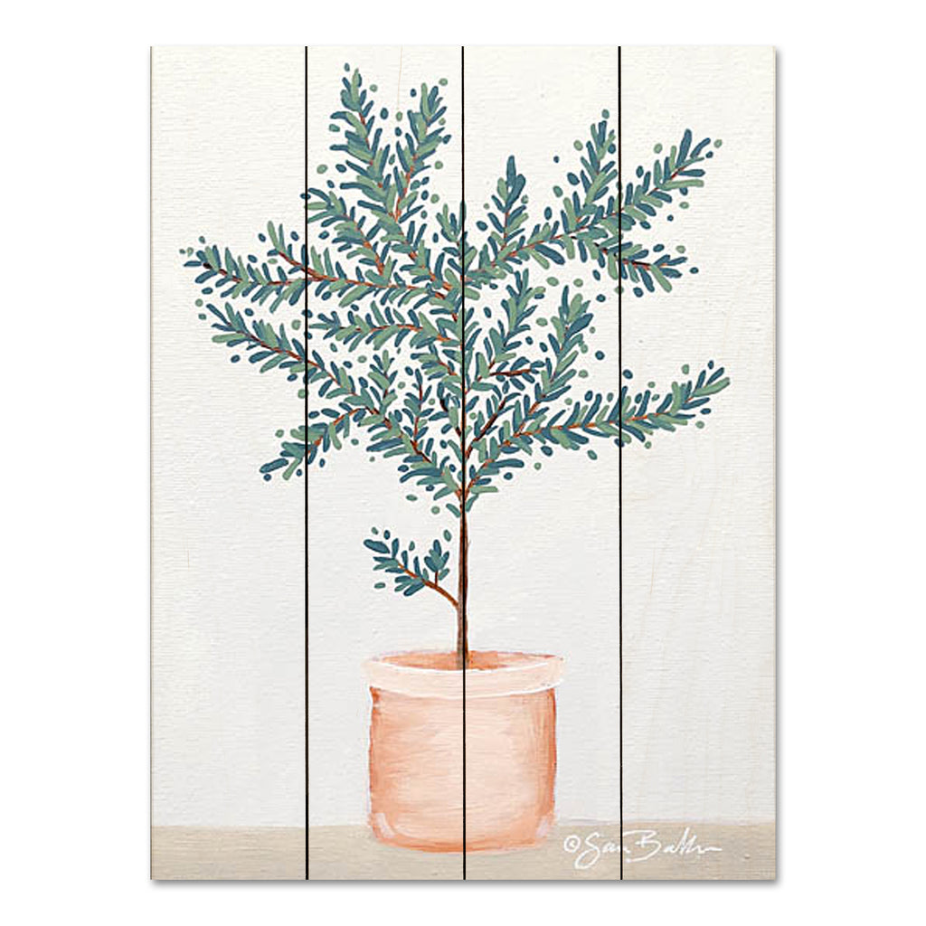 Sara Baker BAKE192PAL - BAKE192PAL - Olive Tree - 12x16 Potted Tree, Tree, Olive Tree, Greenery, Terracotta Pot from Penny Lane