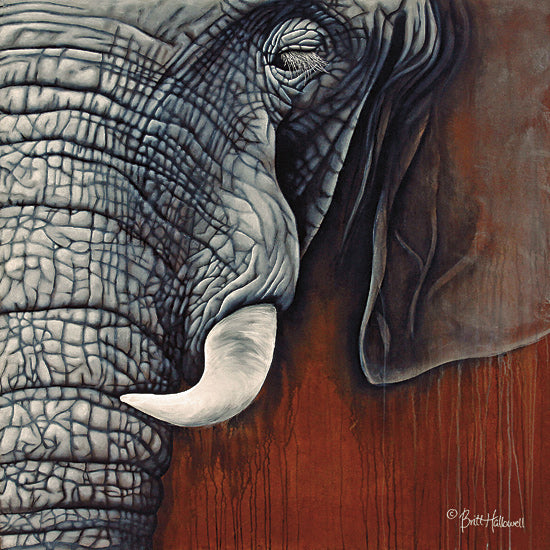 Britt Hallowell BHAR432 - Revering Tembo - Animals, Elephant, Wildlife from Penny Lane Publishing