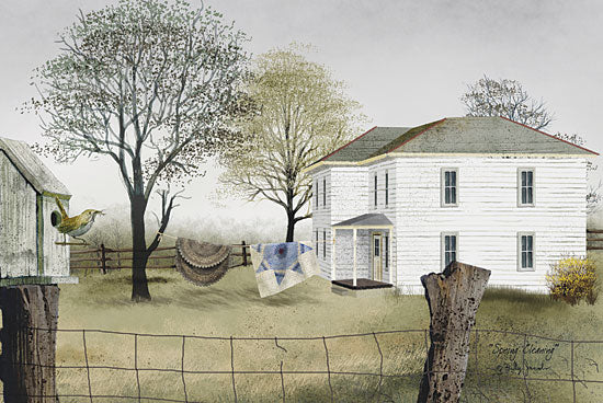 Billy Jacobs BJ107 - Spring Cleaning - Spring, Quilt, Clothesline, House, Fence, Birds, Rugs from Penny Lane Publishing