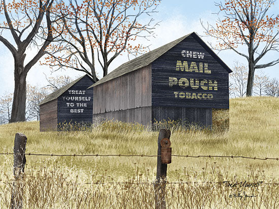 Billy Jacobs BJ1099 - Treat Yourself - Barn, Advertising, Mail Pouch, Tobacco from Penny Lane Publishing
