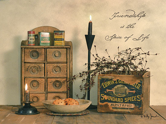 Billy Jacobs BJ1108 - Friendship is the Spice of Life - Spices, Candle, Friendship, Spice Rack from Penny Lane Publishing