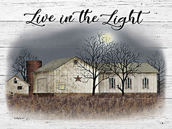 Billy Jacobs BJ1291 - BJ1291 - Live in the Light - 16x12 Barn, Farm, White Barn, Barn Star, Inspirational, Live in the Light, Typography, Signs, Textual Art, Evening, Night, Country/Farmhouse, Landscape, Folk Art, Wood Background from Penny Lane
