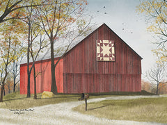 BJ444 - Amish Star Quilt Block Barn - 16x12