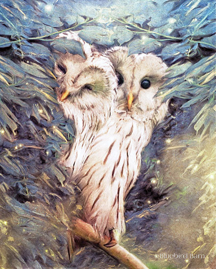 Bluebird Barn BLUE168 - Tow Peek a Boo Owls - 12x16 Owls, Trees, Winter from Penny Lane