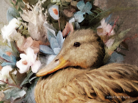 Bluebird Barn BLUE170 - Woodland Duck Floral Portrait - 16x12 Woodland Duck, Portrait, Flowers, Duck from Penny Lane