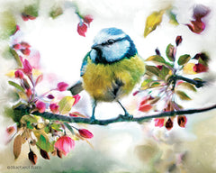 BLUE175 - Spring Yellow Bird on a Bough - 16x12