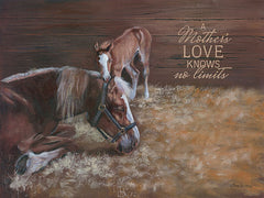BR390 - A Mother's Love - 16x12