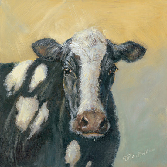 Pam Britton BR474 - BR474 - Pretty Cow - 12x12 Cow, Farm Life, Portrait from Penny Lane