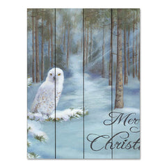 BR533PAL - Snowy Owl - 16x12