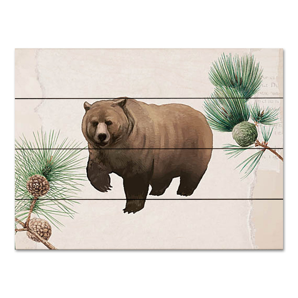 Lady Louise Designs BRO270PAL - BRO270PAL - Bear in the Pines - 16x12 Bear, Lodge, Pine Boughs, Pine Cones, Wild Animals, Masculine from Penny Lane