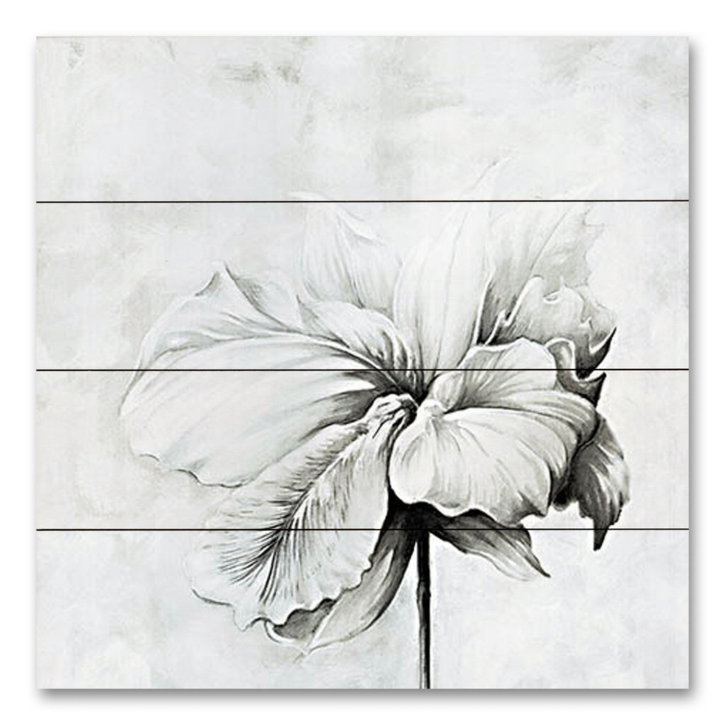 Cloverfield & Co. CC180PAL - CC180PAL - Subtle Petals - 12x12 Flower, Petals, Drawing Print, Black & White, Contemporary from Penny Lane