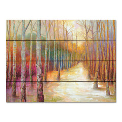 CC185PAL - Colorful Forest Trail - 16x12