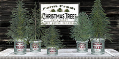 CIN1766 - Galvanized Pots Christmas Trees II - 18x9