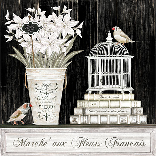 Cindy Jacobs CIN1844 - CIN1844 - Amaryllis Still Life - 12x12 Amaryllis, Flowers, White Flowers, Still Life, Birds, Tin Pail, Books, Birdcage, Shabby Chic, French, Signs from Penny Lane
