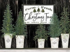 CIN1912 - Farm Fresh Christmas Trees    - 16x12