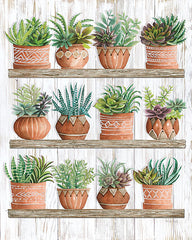 CIN1937 - Succulents on Shelves - 12x16