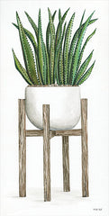 CIN1941 - White Pots on Stands II - 9x18