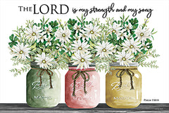 CIN2024 - The Lord is My Strength and My Song - 18x12