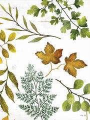CIN2059 - Leaf Patterns II - 12x16