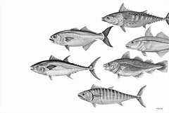 CIN2269 - Variety of Fish II - 18x12