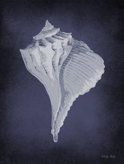 CIN2284 - Blue Seashell II      - 12x16
