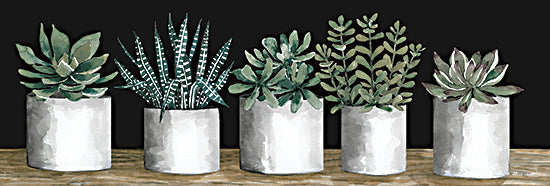 Cindy Jacobs CIN2329A - CIN2329A - Succulent Row   - 36x12 Succulents, Cactus, White Pots, Still Life, Southwestern from Penny Lane