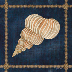 CIN2373 - Seashell on Navy III - 12x12