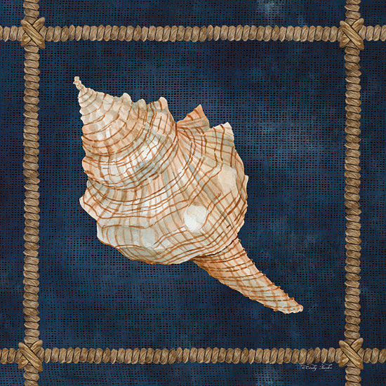 Cindy Jacobs CIN2374 - CIN2374 - Seashell on Navy IV - 12x12 Shell, Rope Frame, Blue Background, Coastal from Penny Lane