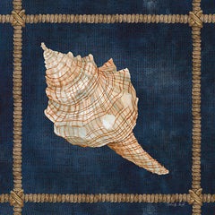 CIN2374 - Seashell on Navy IV - 12x12