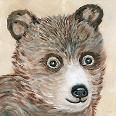 CIN2464 - Brody the Bear - 12x12