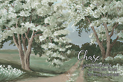 CIN2490 - Chase Your Dreams - 18x12