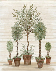 CIN2533 - Potted Tree Collection    - 12x16