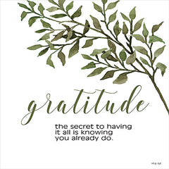 CIN2641 - Gratitude - 12x12