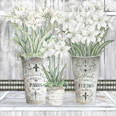 CIN2680 - Amaryllis Multi Pots - 12x12