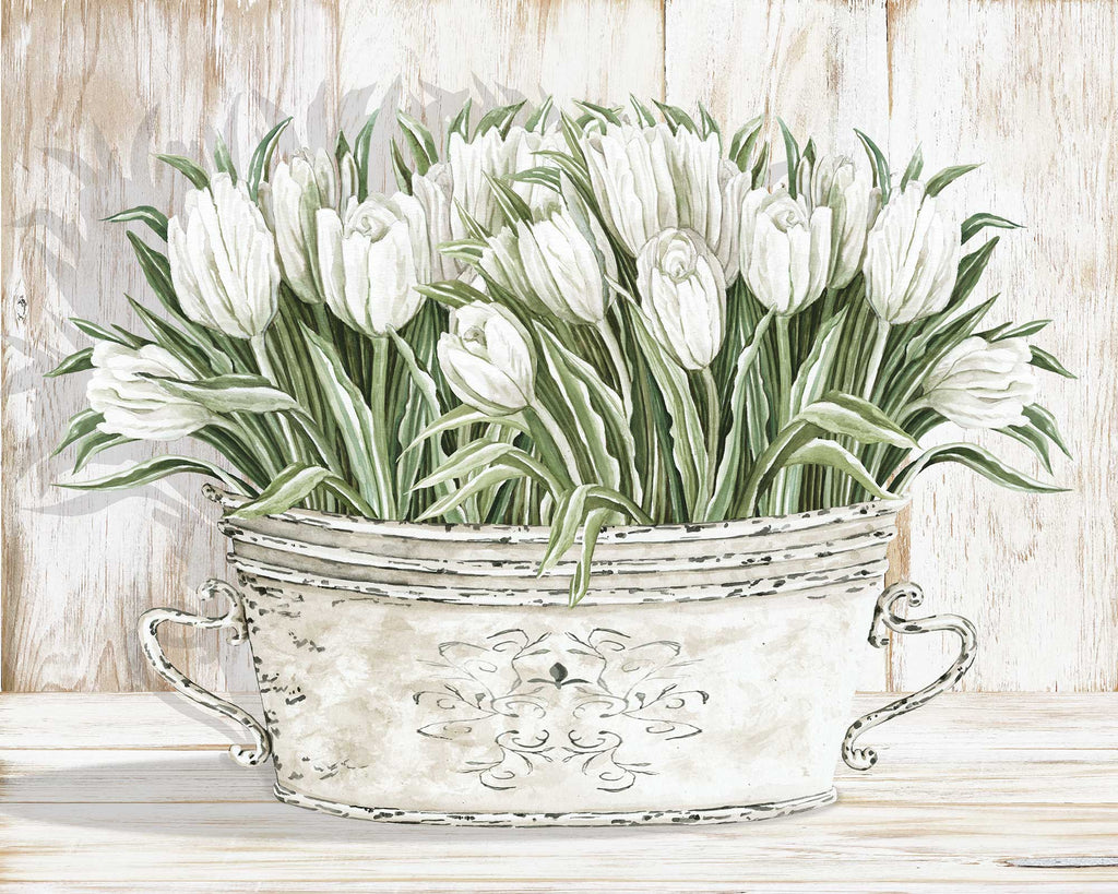 Cindy Jacobs CIN2682 - CIN2682 - Tulips in White Chipped Pail - 16x12 Tulips, Flowers, White Flowers, Spring, Bouquet, White Pail, Shabby Chic, Still Life, Neutral Palette from Penny Lane