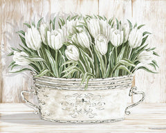 CIN2682 - Tulips in White Chipped Pail - 16x12