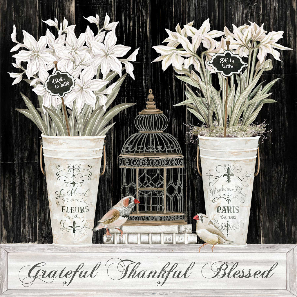 Cindy Jacobs CIN2685 - CIN2685 - Grateful Thankful Blessed Still Life - 12x12 Grateful, Thankful, Blessed, Still Life, Flowers, Bouquets, Birdcage, Birds, Signs from Penny Lane