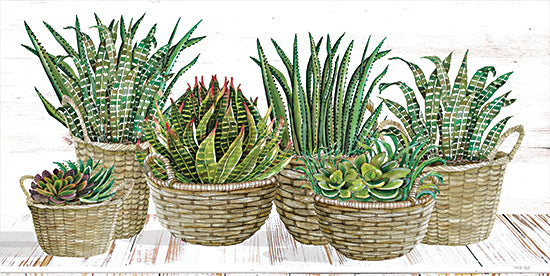 Cindy Jacobs CIN2733 - CIN2733 - Succulent Baskets - 18x9 Succulents, Baskets, Cactus, Southwestern, Still Life from Penny Lane