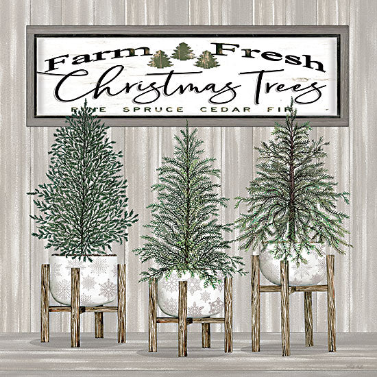 Cindy Jacobs CIN2786 - CIN2786 - Potted Christmas Trees - 12x12 Potted Christmas Trees, Holidays, Christmas, Trees, Farm Fresh Christmas Trees, Signs from Penny Lane