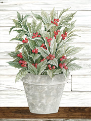 CIN2789 - Pot of Holly - 12x16