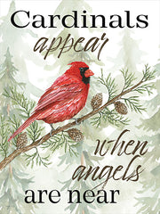 CIN2919 - Cardinals Appear - 12x16