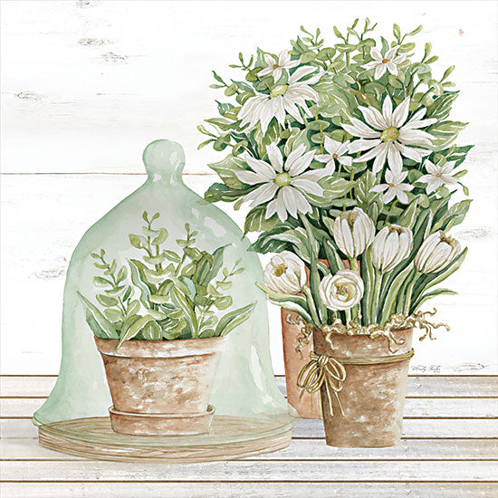 Cindy Jacobs CIN2935 - CIN2935 - Flowers and Terrarium - 12x12 Flowers, Terrarium, Clay Pots, White Flowers, Country, Still Life, Country from Penny Lane