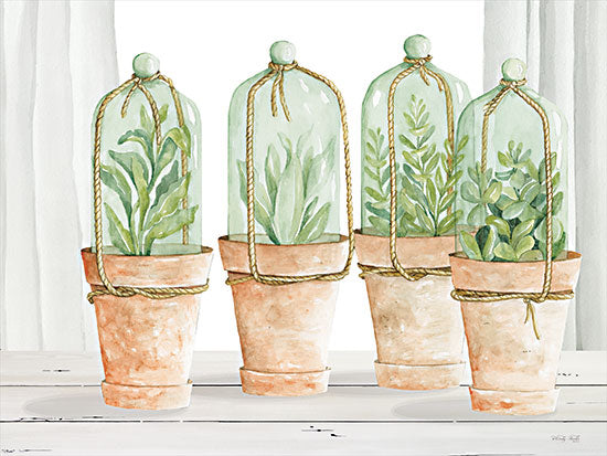 Cindy Jacobs CIN3009 - CIN3009 - Herb Collection - 16x12 Herb Collection, Herbs, Cloche Domes, Still Life, Terracotta Pots from Penny Lane